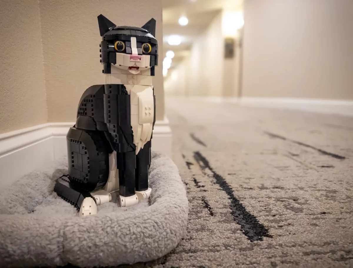 A Protector… A Dark Knight